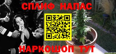 мдма Гусев