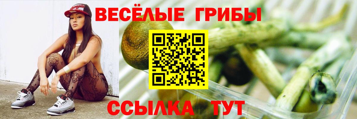 Лениногорск  Галлюциногенные грибы прущие грибы  Вход с VPN 